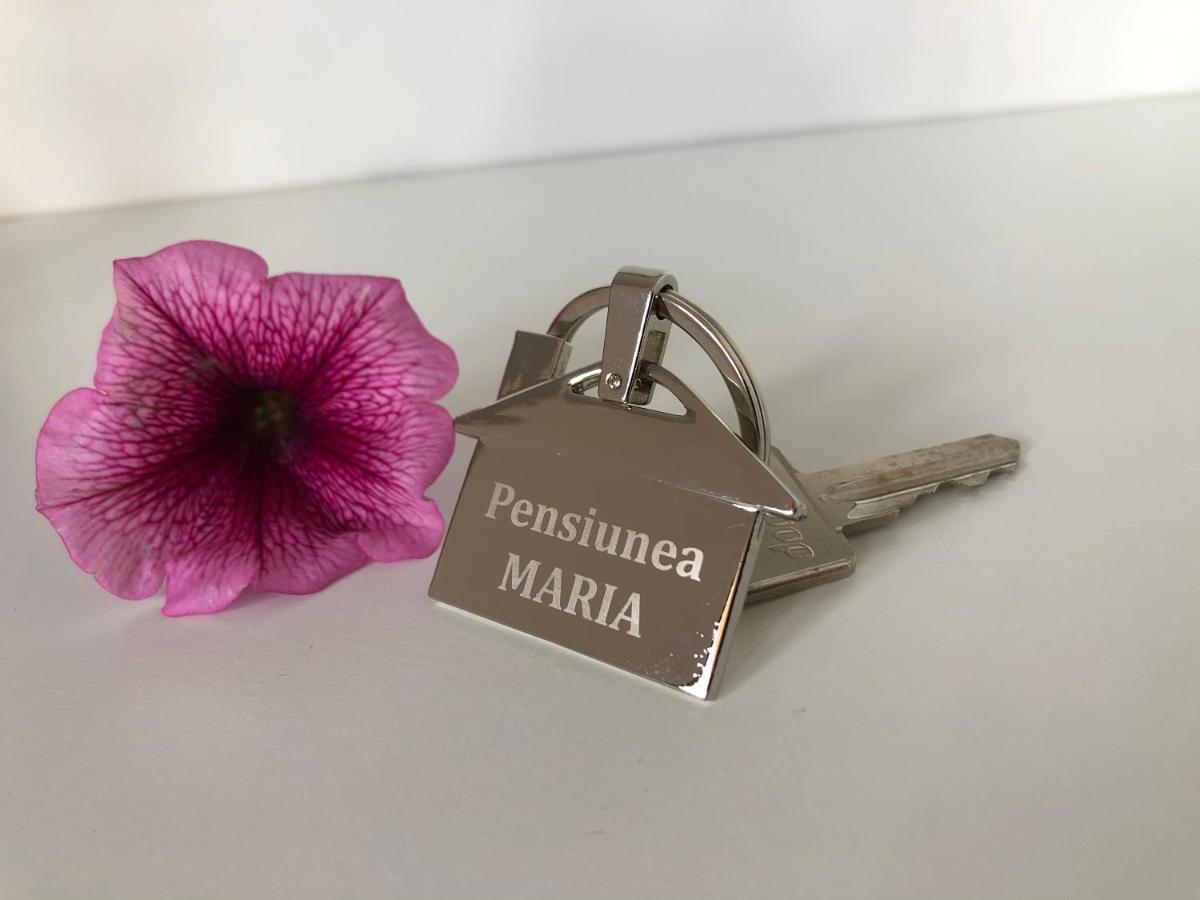 Pensiunea Maria Colibiţa Eksteriør billede
